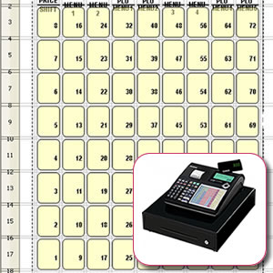 Casio SE-C300 Keyboard Template