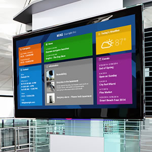 Digital Signage / Large Display Screens