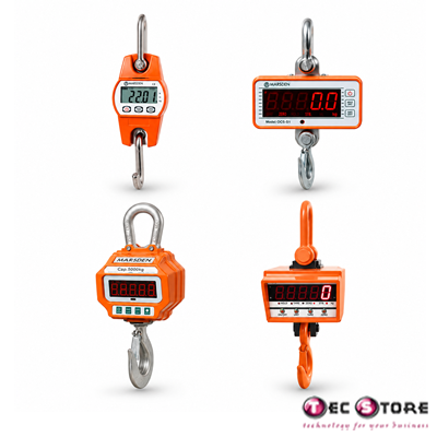 Crane Scales