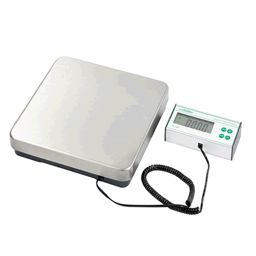 B-250 Bench and Floor Scale