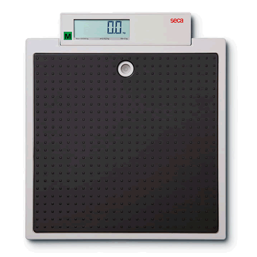 875 Flat Scales for Mobile Use