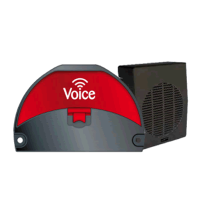 Voice Module